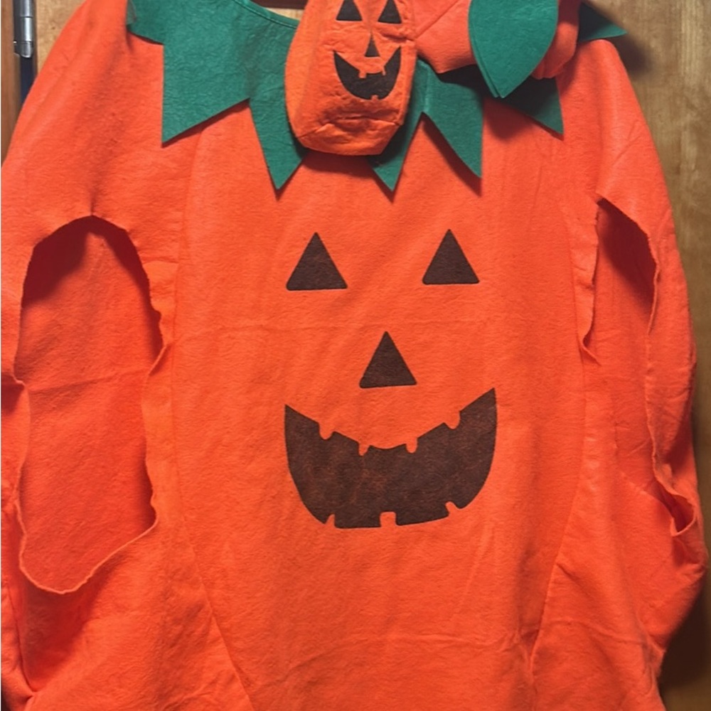 Pumpkin Halloween Costume Adult